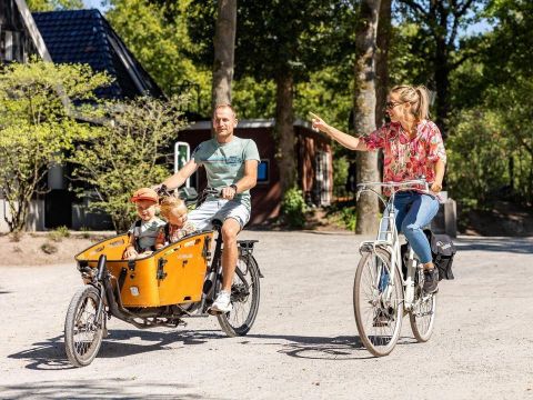 Vakantiepark De Norgerberg - Camping Noordenveld - Image N°31