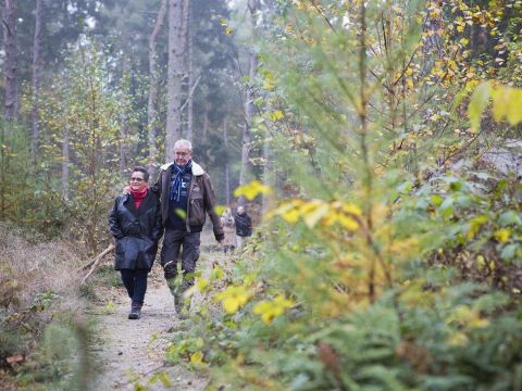 Vakantiepark De Norgerberg - Camping Noordenveld - Image N°32