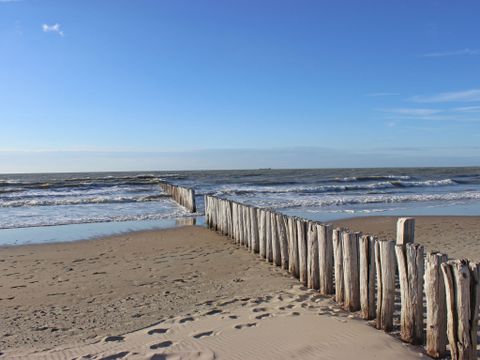 Camping Cassandria Bad - Camping Cadzand - Image N°9