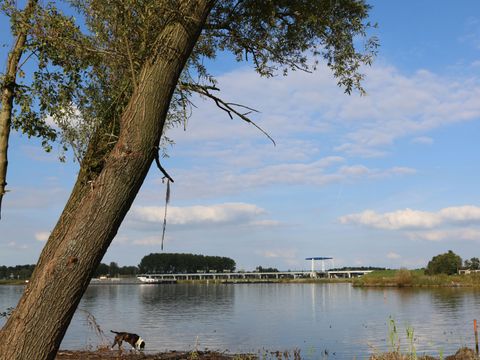 EuroParcs Bad Hulckesteijn - Camping Nijkerk - Image N°30