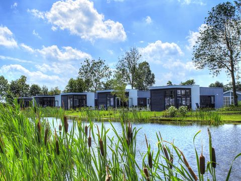 EuroParcs Bad Hulckesteijn - Camping Nijkerk - Image N°28