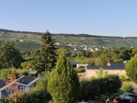 Mosel Ferienpark M13 - Camping Rhénanie-Palatinat - Image N°8