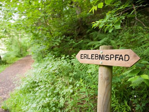 Ferienpark Ronshausen - Camping Hesse - Image N°12