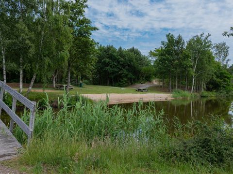 Summio Vakantiepark Emslandermeer - Camping Westerwolde - Image N°9