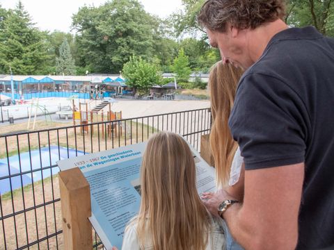 TopParken De Wielerbaan - Camping Wageningen - Image N°5