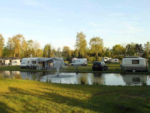 TopParken De Wielerbaan - Camping Wageningen - Image N°24