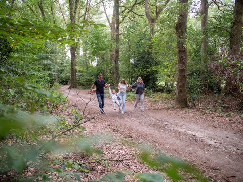 TopParken De Wielerbaan - Camping Wageningen - Image N°15