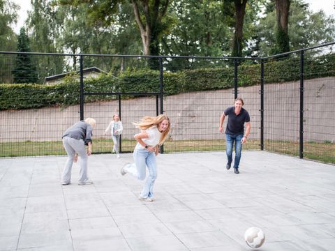 TopParken De Wielerbaan - Camping Wageningen - Image N°8