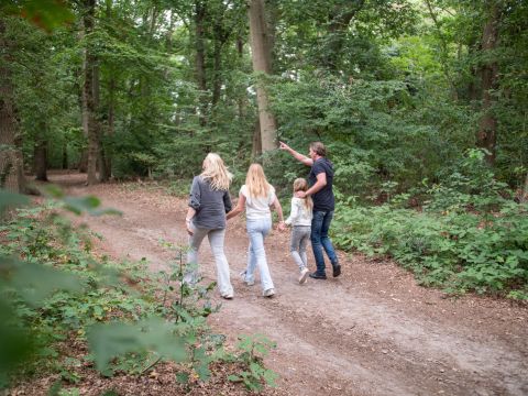 TopParken De Wielerbaan - Camping Wageningen - Image N°16