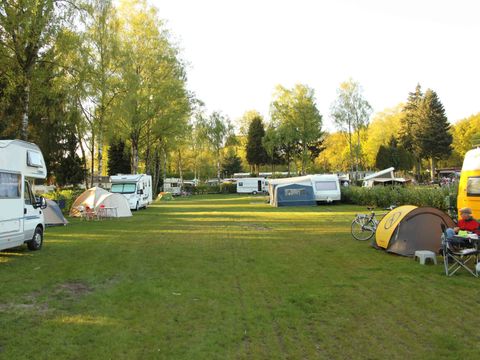 TopParken De Wielerbaan - Camping Wageningen - Image N°22