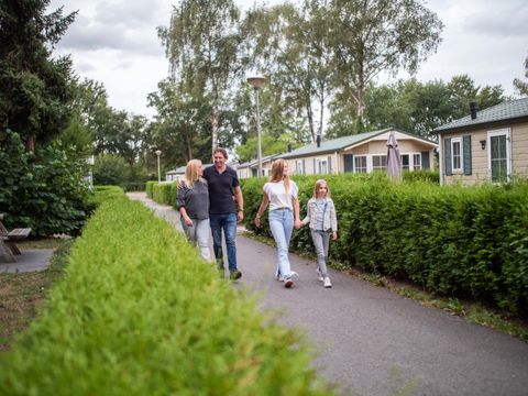 TopParken De Wielerbaan - Camping Wageningen - Image N°18