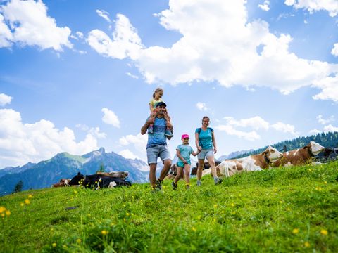 Landal Hochmontafon - Camping Vorarlberg - Image N°41