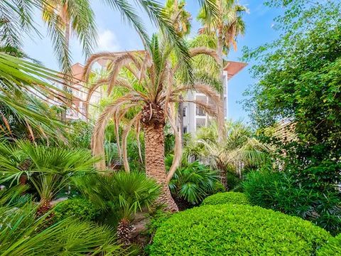 Pierre & Vacances Premium Résidence Port Prestige - Camping Alpes-Maritimes - Image N°8