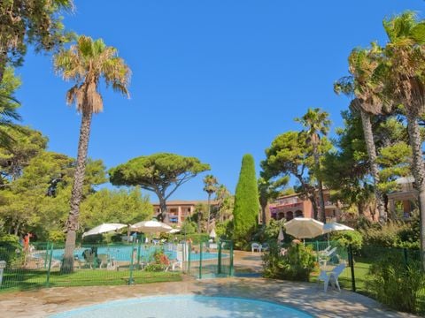Pierre & Vacances Residence La Pinède - Camping Var - Image N°8