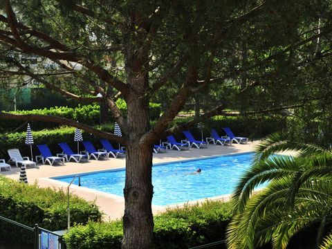 Pierre & Vacances Résidence Les Jardins Ombragés Cannes Mandelieu - Camping Alpes-Maritimes - Image N°15