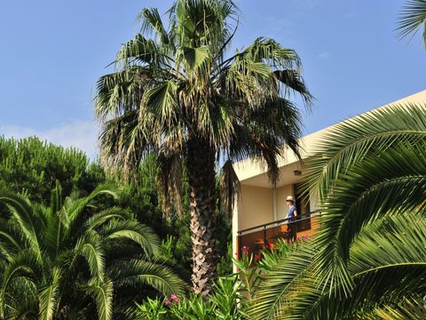 Pierre & Vacances Résidence Les Jardins Ombragés Cannes Mandelieu Pierre & Vacances Résidence Les Jardins Ombragés Cannes Mandelieu - Camping Alpes-Maritimes - Image N°7