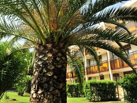 Pierre & Vacances Résidence Les Jardins Ombragés Cannes Mandelieu - Camping Alpes-Maritimes - Image N°20