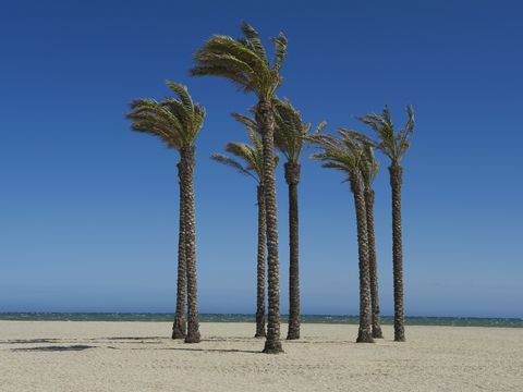 Pierre & Vacances Résidence Almería Roquetas de Mar - Camping Huelva - Image N°30