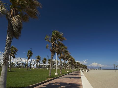 Pierre & Vacances Résidence Almería Roquetas de Mar - Camping Huelva - Image N°29