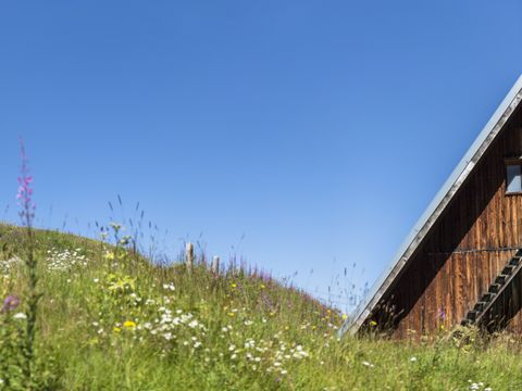 Pierre & Vacances Premium Résidence Les Hauts Bois - Camping Savoie - Image N°22