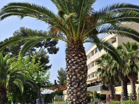 Pierre & Vacances Residence Bandol Port - Camping Var - Image N°5