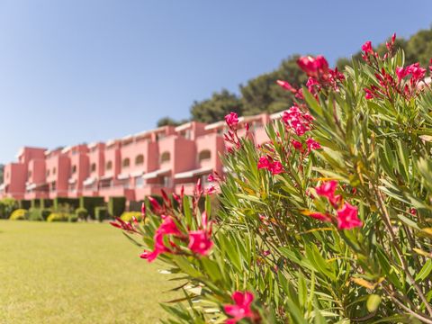 Pierre & Vacances Résidence Les Jardins de la Côte d'Azur - Camping Var - Image N°3