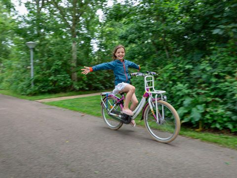 Campanula - Camping Schagen - Image N°8