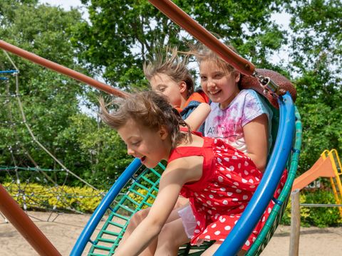 Campanula - Camping Schagen - Image N°4