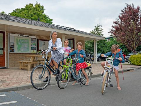 Campanula - Camping Schagen - Image N°7
