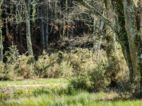 MAISON 10 personnes - Villas Club Royal Aquitaine