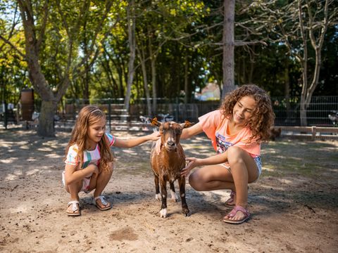 Center Parcs Park De Haan - Camping Flandre Occidentale - Image N°26
