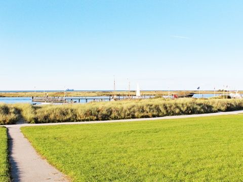 DanCenter Marina Wendtorf - Ostsee - Camping Schleswig-Holstein - Image N°15