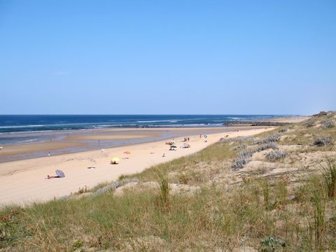 Vakantiepark Sicard - Camping Landes - Image N°14