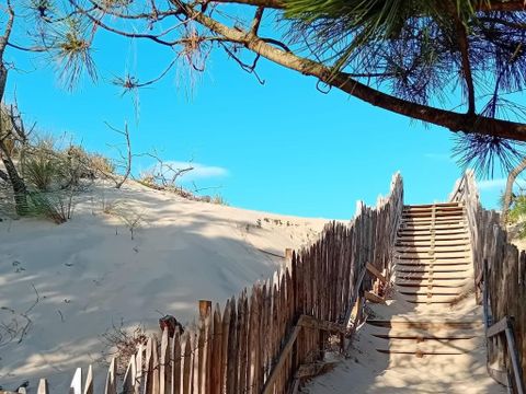 Vakantiepark Sicard - Camping Landes - Image N°15