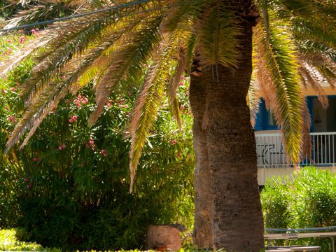 Résidence Goélia Le Domaine de La Pinède - Camping Var - Image N°2