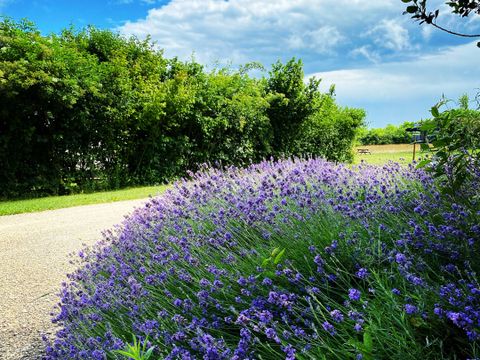 Camping Place de la Famille - Camping Dordogne - Image N°14