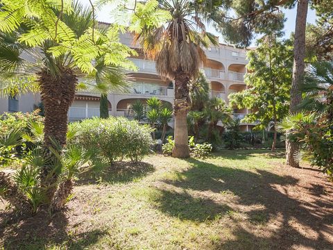 Pierre & Vacances Résidence Le Port - Camping Var - Image N°6