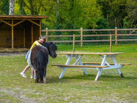 EuroParcs Hoge Kempen - Camping Limburg Belge - Image N°22