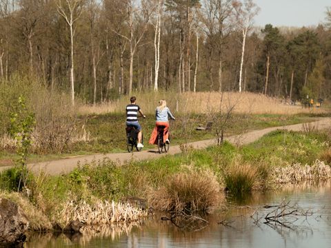 EuroParcs Hoge Kempen - Camping Limburg Belge - Image N°5