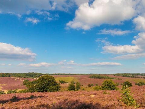 EuroParcs Hoge Kempen - Camping Limburg Belge - Image N°13