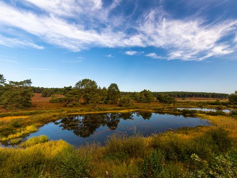 EuroParcs Hoge Kempen - Camping Limburg Belge - Image N°7