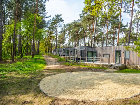 EuroParcs Hoge Kempen - Camping Limburg Belge - Image N°3
