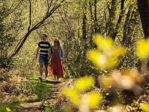 EuroParcs Hoge Kempen - Camping Limburg Belge - Image N°8