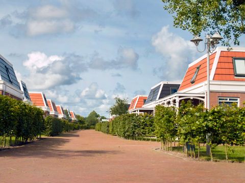 Bungalowparck Tulp & Zee - Camping Noordwijk - Image N°6