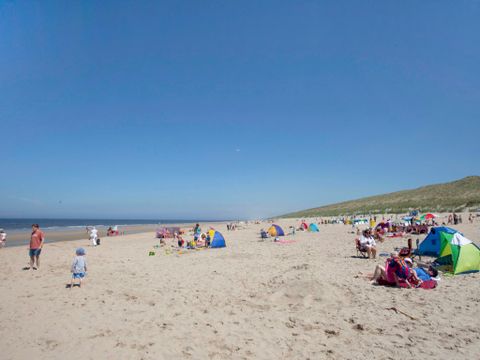Bungalowparck Tulp & Zee - Camping Noordwijk - Image N°8
