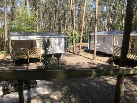 Chaletpark Siësta - Camping Anvers - Image N°21
