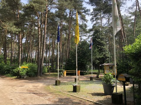 Chaletpark Siësta - Camping Anvers - Image N°15
