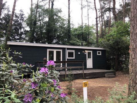 Chaletpark Siësta - Camping Anvers