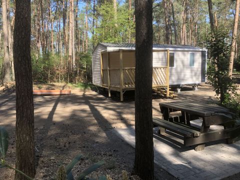 Chaletpark Siësta - Camping Anvers - Image N°20