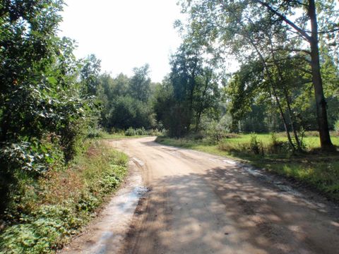 Chaletpark Siësta - Camping Anvers - Image N°14